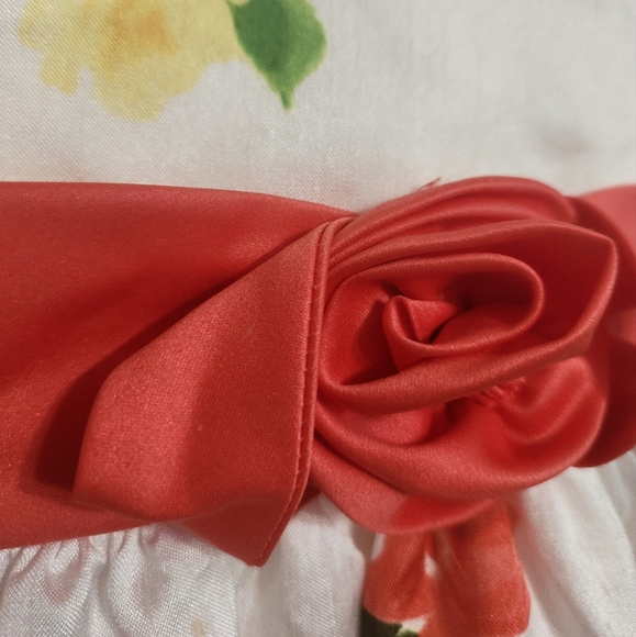 GIRLS, Big GIRLS SIZE 16 PARTY DRESS Garden PARTY DRESSEY Bonnie Jean - Picture 5 of 13